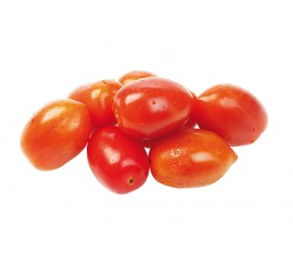 tomate pera rastrero