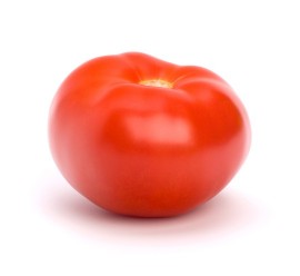 tomate jack inj.