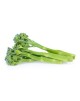 brócoli tierno