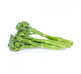 brócoli tierno
